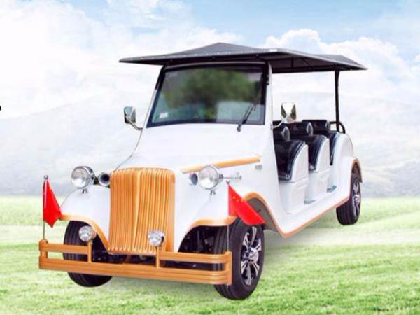 樓盤電動看房車