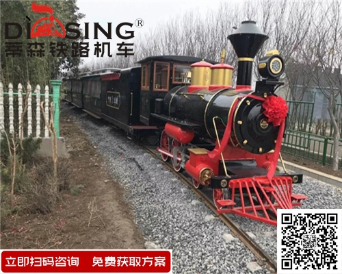 觀光小火車 (4)