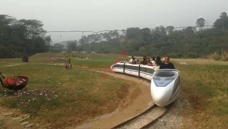 DSW-D58FB封閉燃油觀光小火車