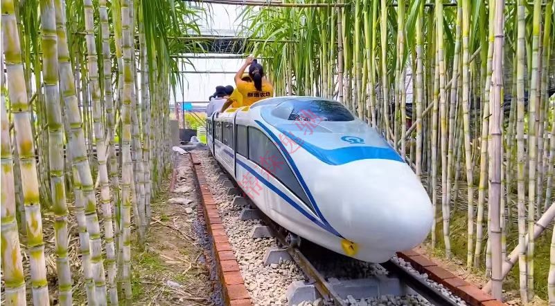黑龍江——DSW-D58FB封閉燃油觀光小火車