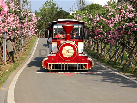 無軌觀光小火車