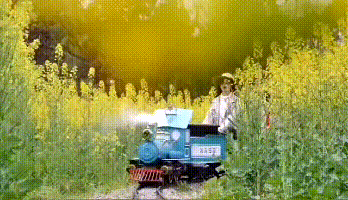 視頻