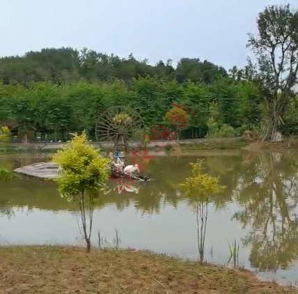 蒂森逸馳小火車旁的風景