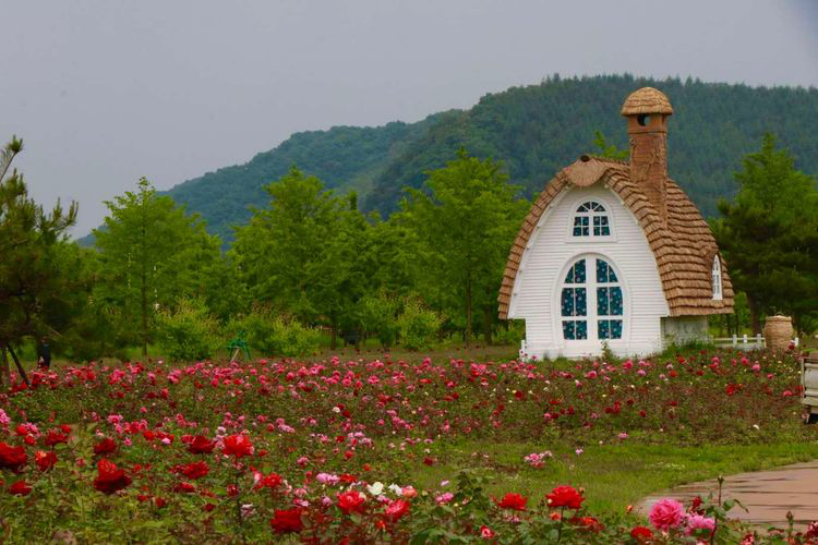 花間樂園