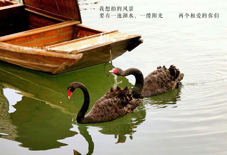 resource/images/6dc804bc3f3d494bbcdfe36fa3fb9b06_70.png