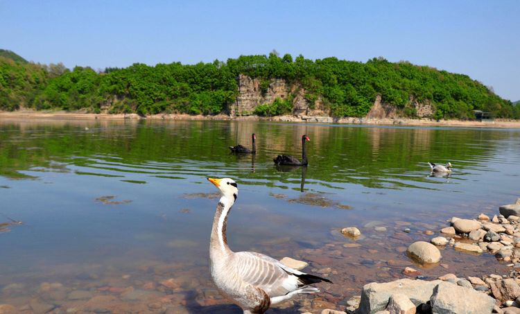 resource/images/6dc804bc3f3d494bbcdfe36fa3fb9b06_72.png