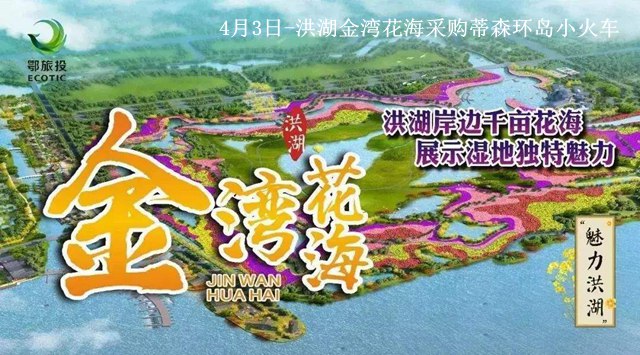 鄂旅投-洪湖金灣花海