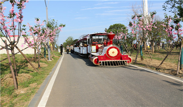 封閉車廂——DSW-D58FB封閉燃油觀光小火車