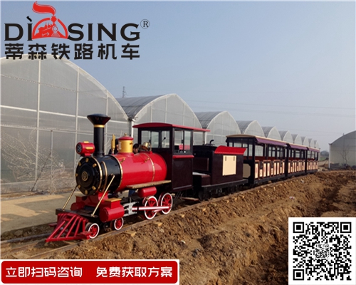 54座觀光小火車 (1)