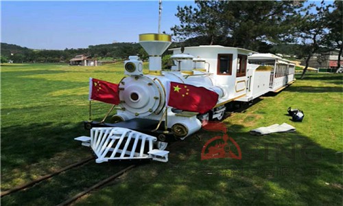 觀光小火車(chē)10