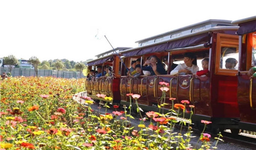 觀光小火車
