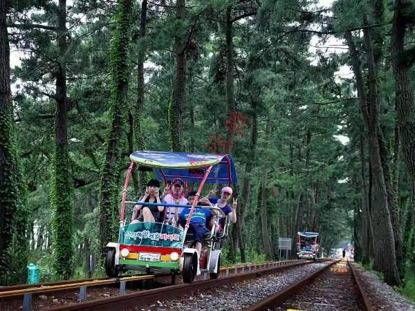 軌道自行車