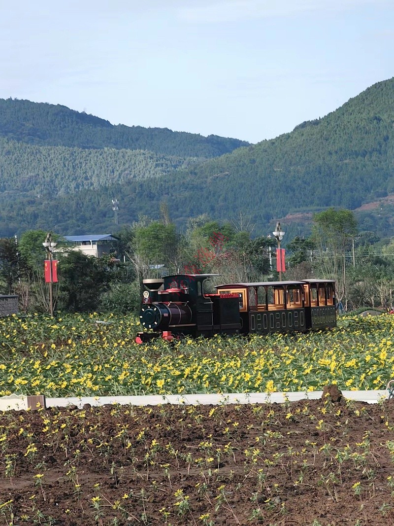 德陽(yáng)軌道小火車(chē)